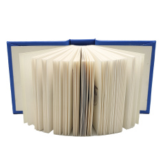 Mini livre pour enfants, édition spéciale, couverture rigide, tranches colorées, service d'impression personnalisé, papier de luxe, reliure dos carré collé, impression offset
