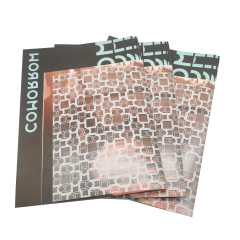 Customized Printed Plastic Booklet Saddle Binding Promotional Brochure Offset and Digital Printing on Cardboard Offset Paper