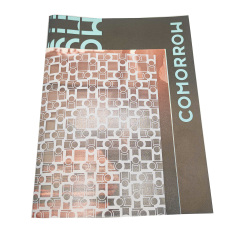 Customized Printed Plastic Booklet Saddle Binding Promotional Brochure Offset and Digital Printing on Cardboard Offset Paper