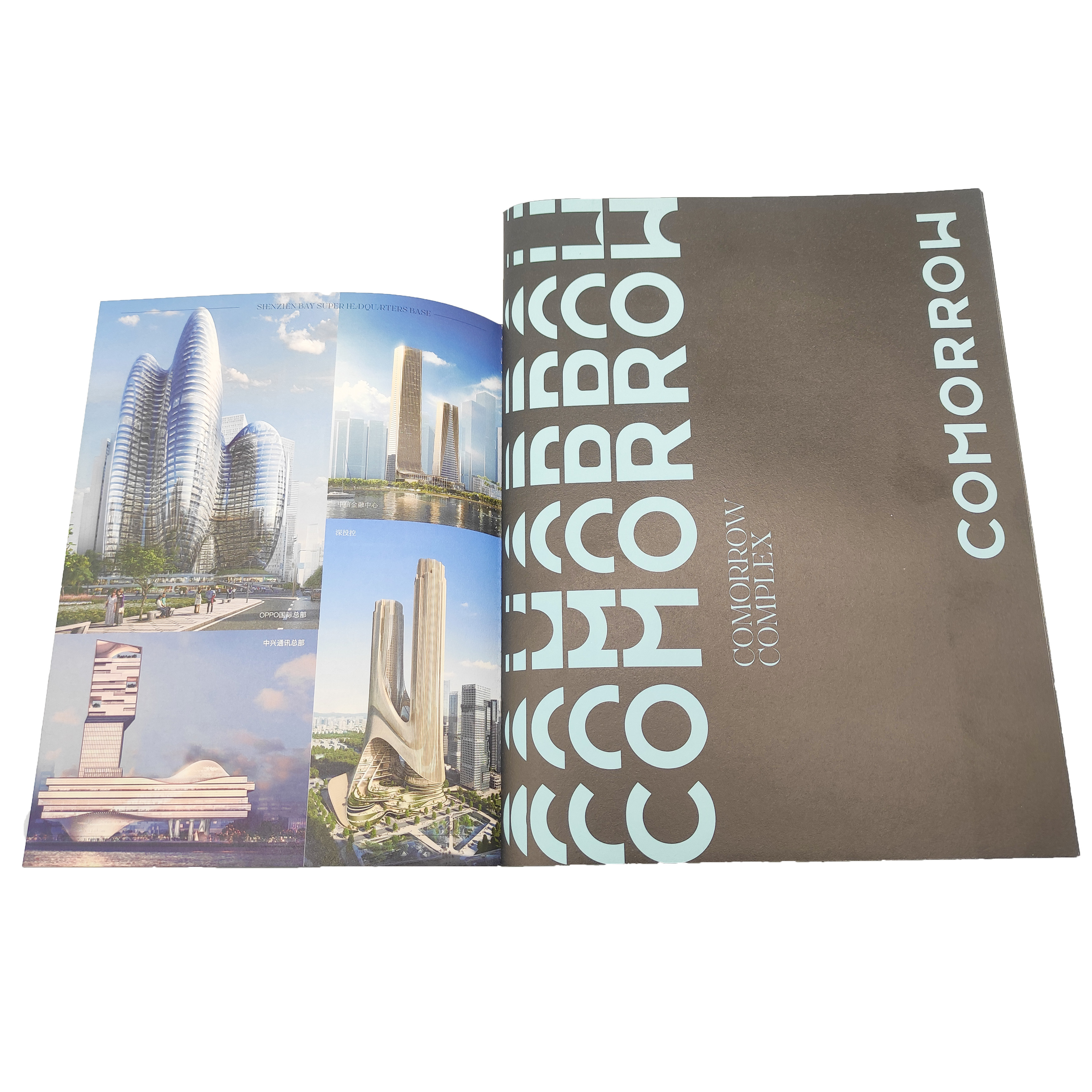 Customized Printed Plastic Booklet Saddle Binding Promotional Brochure Offset and Digital Printing on Cardboard Offset Paper