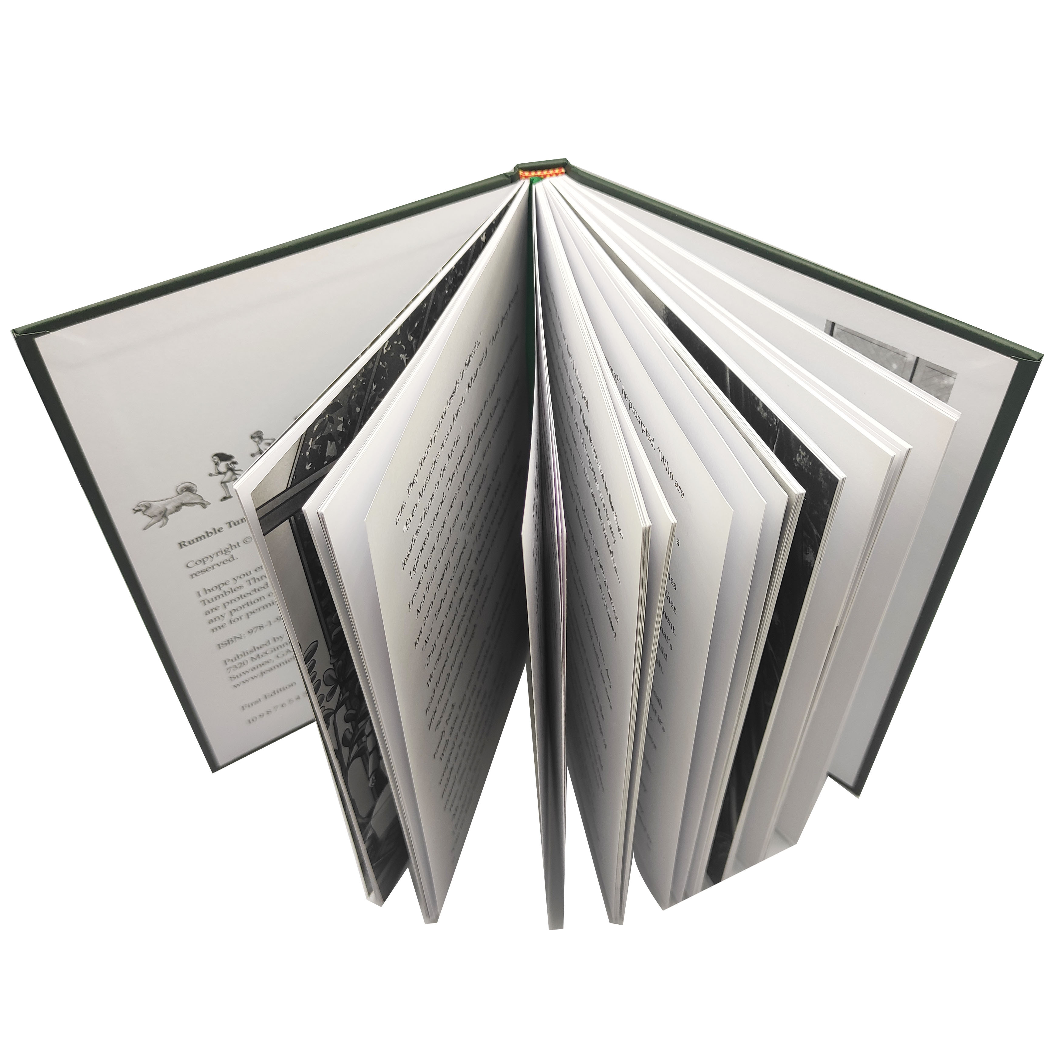 Livre pour enfants A4 à couverture rigide personnalisée, impression offset écologique sur carton recyclé, prix d'usine