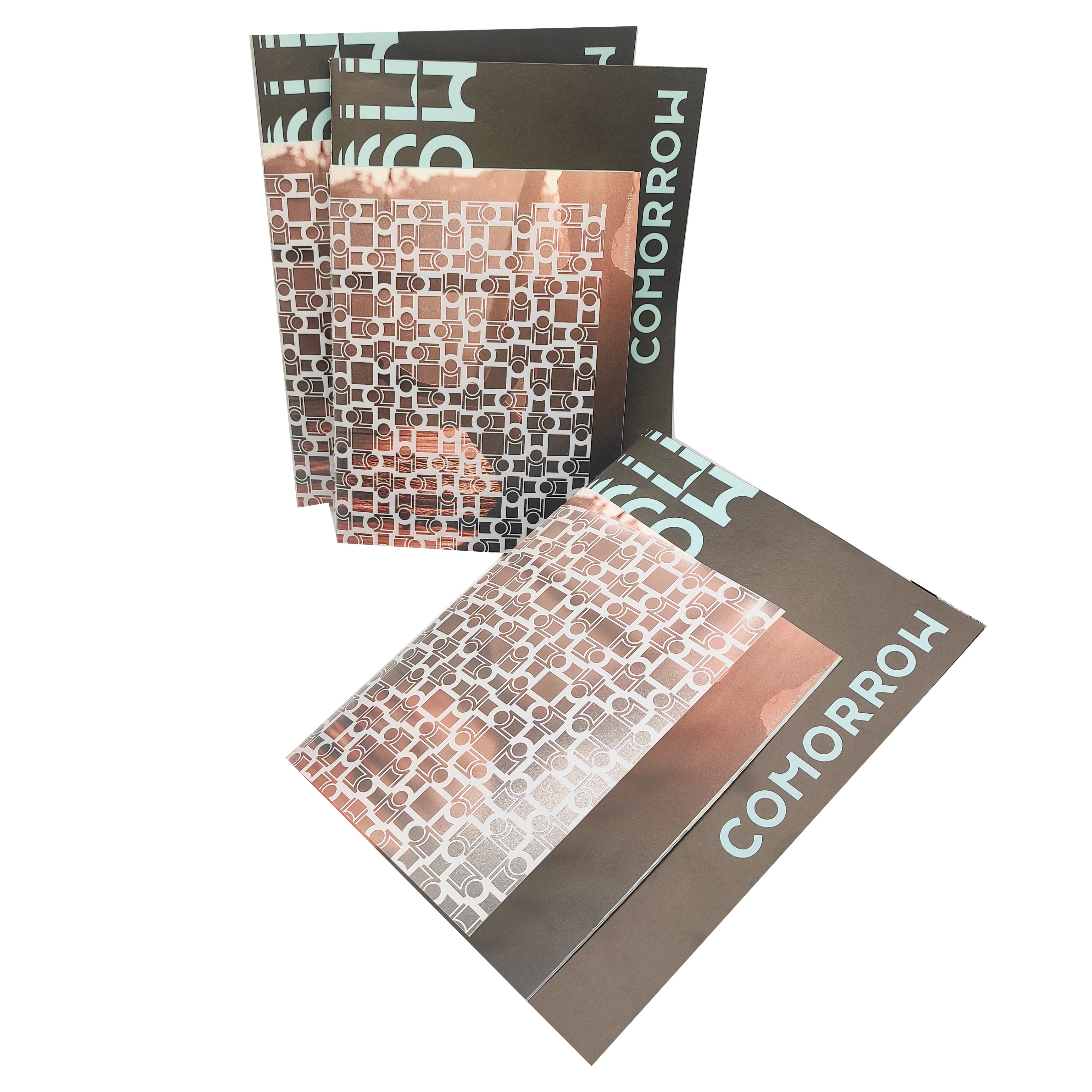 Customized Printed Plastic Booklet Saddle Binding Promotional Brochure Offset and Digital Printing on Cardboard Offset Paper