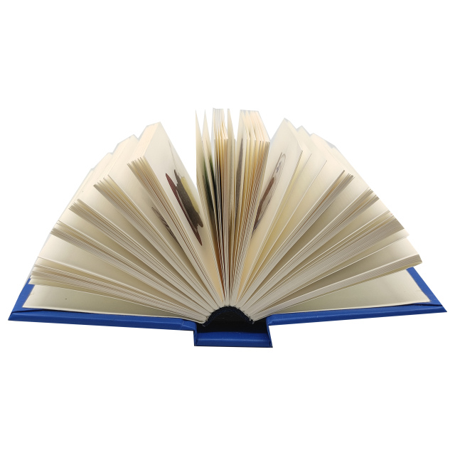 Mini livre pour enfants, édition spéciale, couverture rigide, tranches colorées, service d'impression personnalisé, papier de luxe, reliure dos carré collé, impression offset