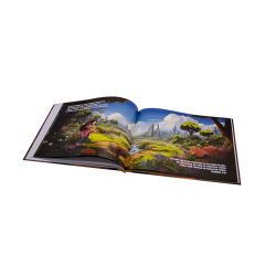Islamic Children's Educational Book Printing on Cardboard with Hard Cover and Offset Printing