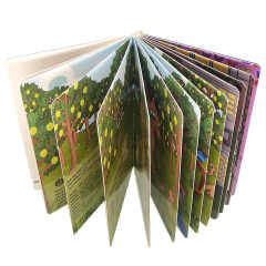 Small Batch  Chinese Offset Printing Factories High Quality Custom Children Book Printing Board Book