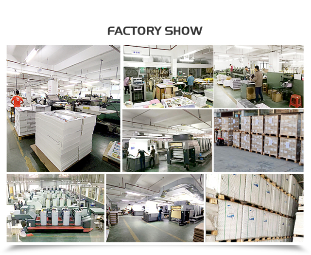 Small Batch  Chinese Offset Printing Factories High Quality Custom Children Book Printing Board Book