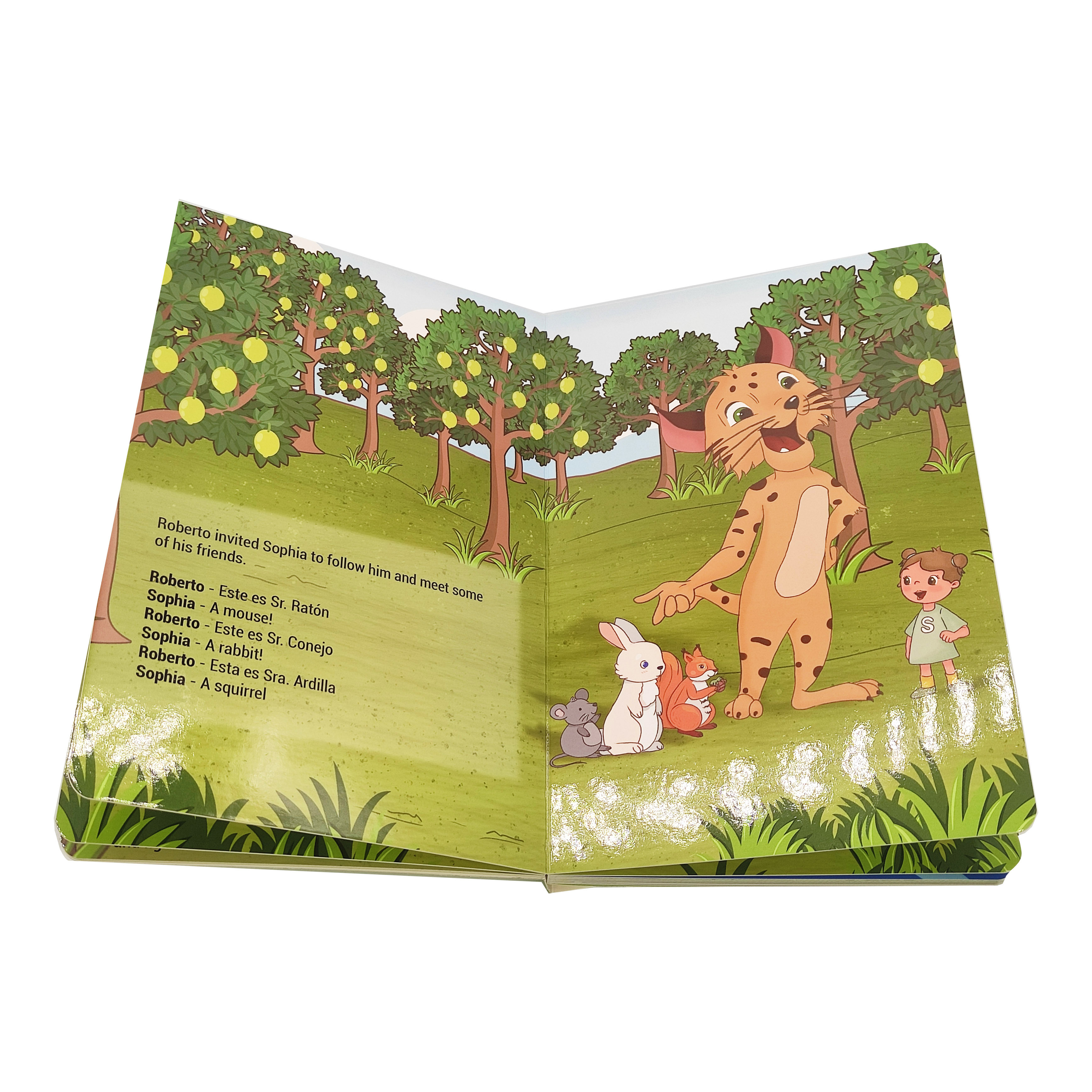 Small Batch  Chinese Offset Printing Factories High Quality Custom Children Book Printing Board Book
