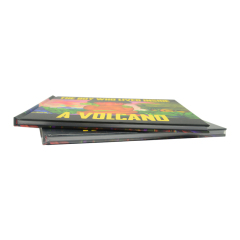 China Factory High Quality Hardcover Children Books Printing Custom Hardcover Book