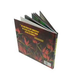 China Factory High Quality Hardcover Children Books Printing Custom Hardcover Book