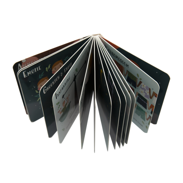 Hot Selling Children's Picture Book Printing Service Children Education Board Book