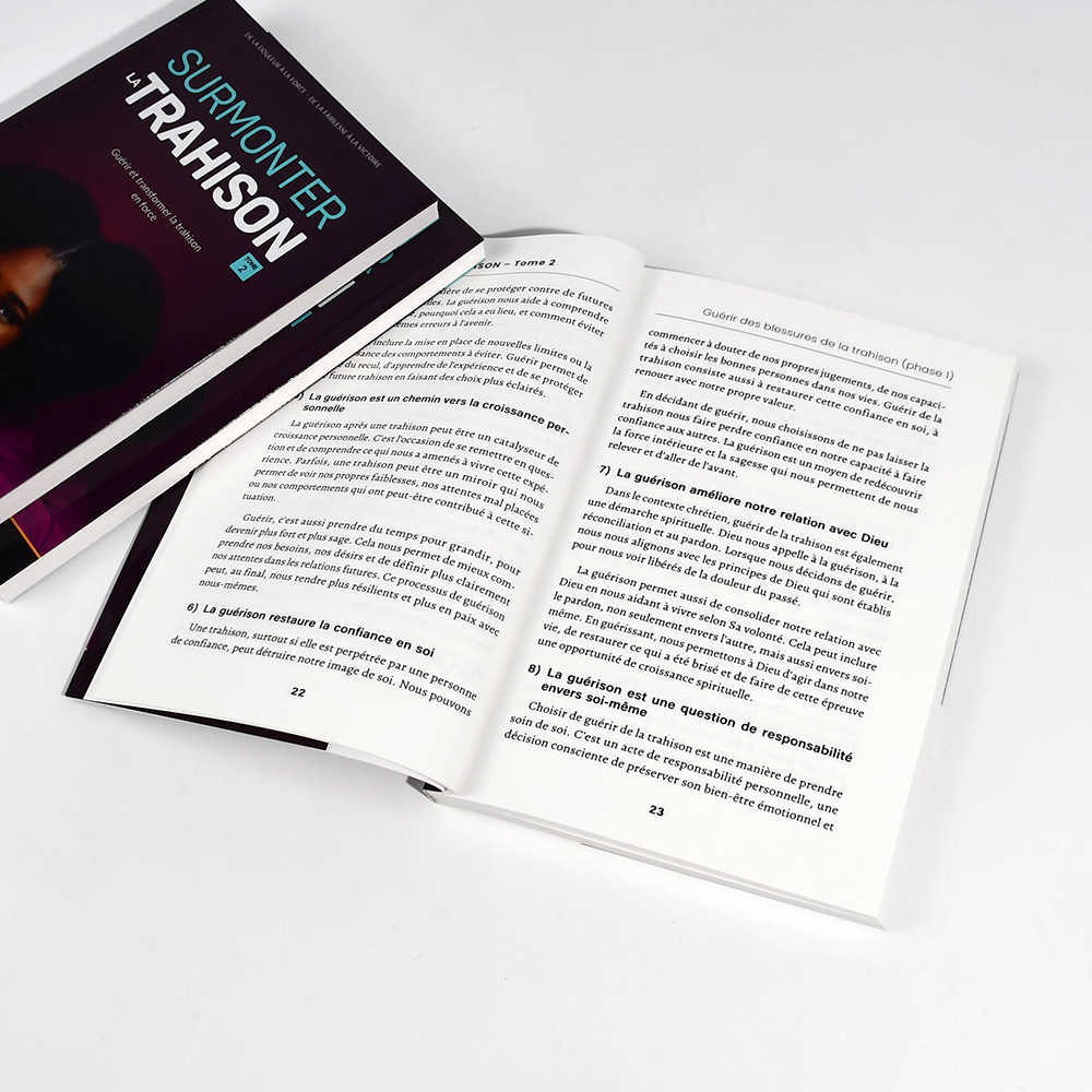 Premium Beige Color Paper Cheap Price Softcover Book Printing Service With Folding Flap