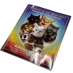 OEM Cheapest Coated Paper Four Color Offset Printing Glue Binding Magazine Brochure Printing Services