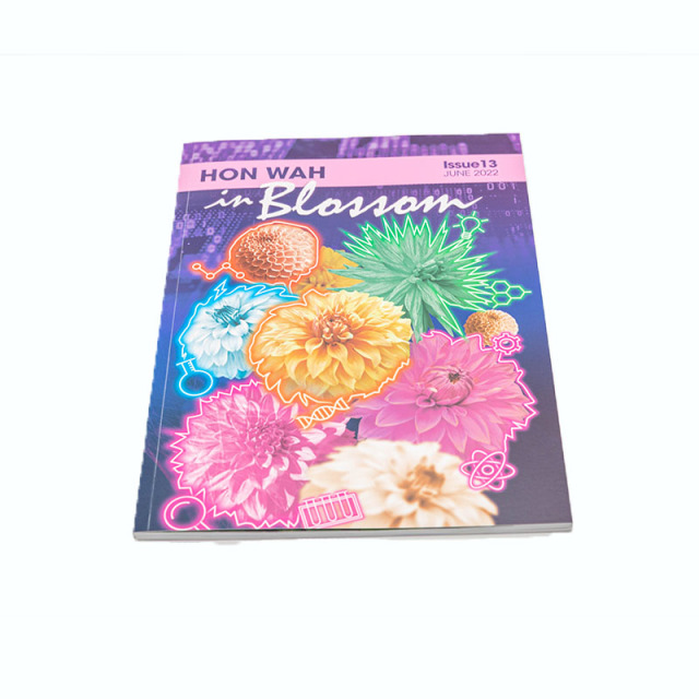 China Factory High Quality Full Color Custom Softcover Paperback Magazine/Brochure/Booklet/Catalog Saddle Stitch Printing