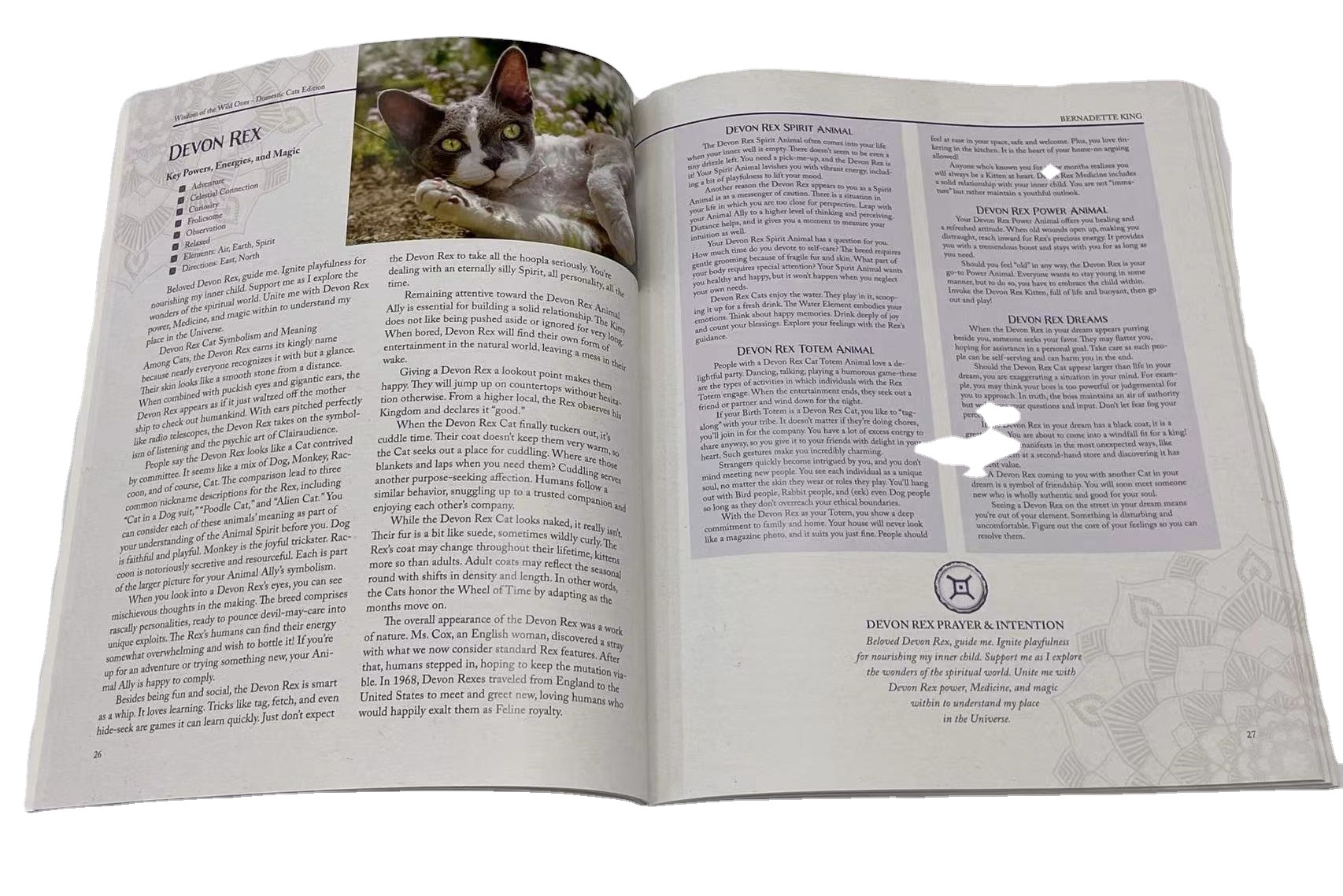 OEM Cheapest Coated Paper Four Color Offset Printing Glue Binding Magazine Brochure Printing Services