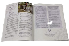 OEM Cheapest Coated Paper Four Color Offset Printing Glue Binding Magazine Brochure Printing Services