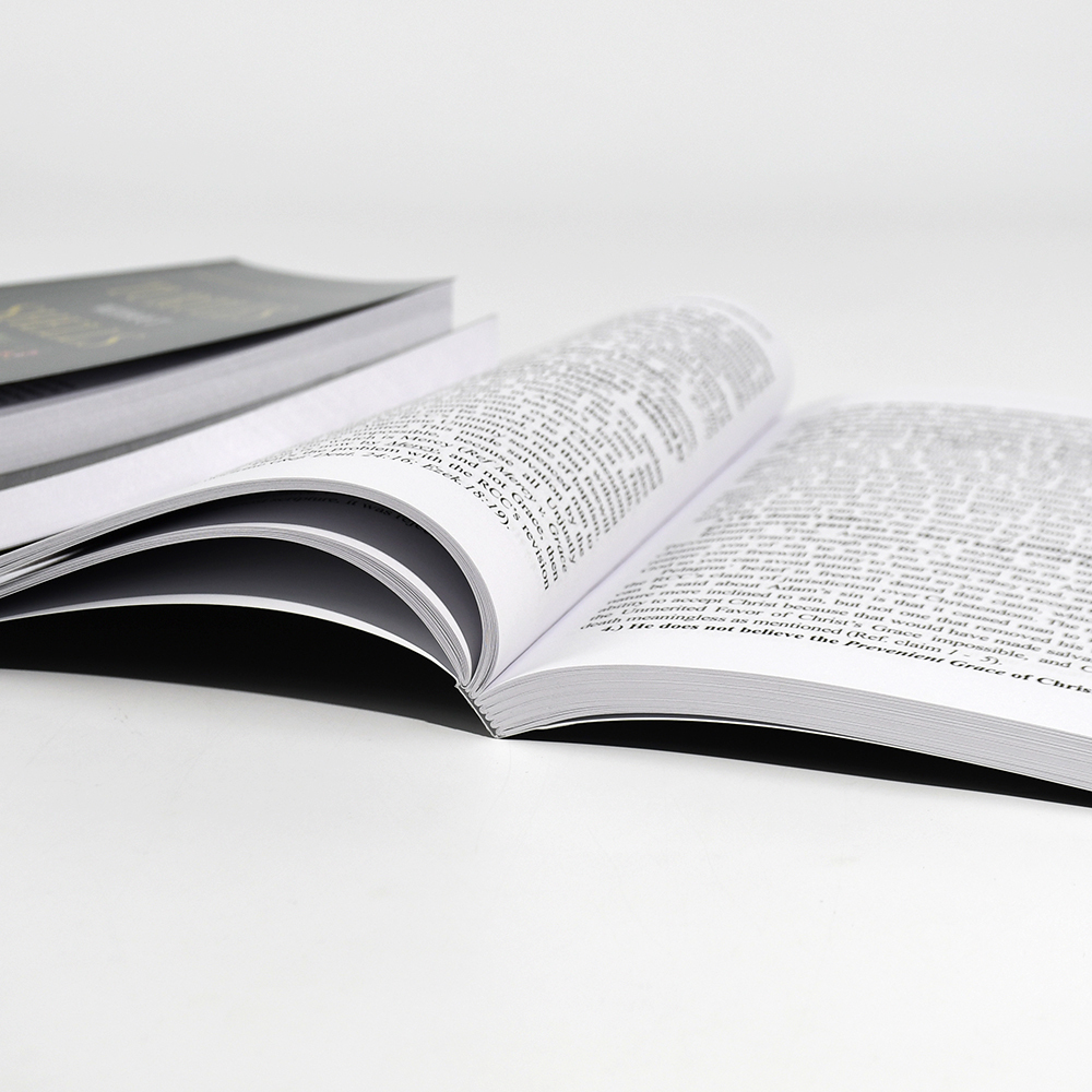 Customized Independent Publishing Paperback Novels Fiction Books in Bulk