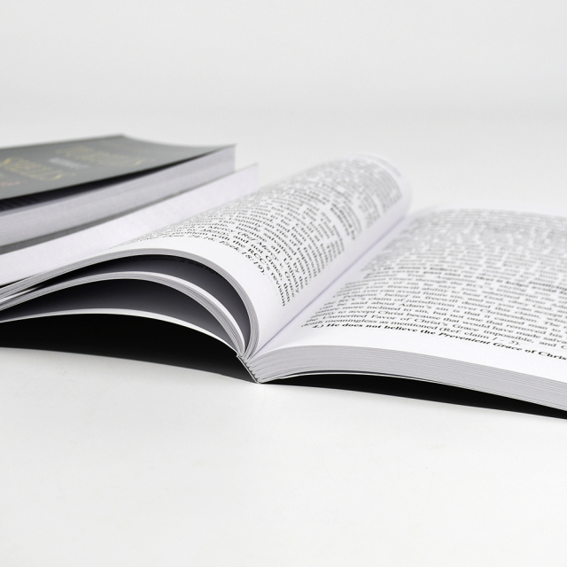 Customized Independent Publishing Paperback Novels Fiction Books in Bulk