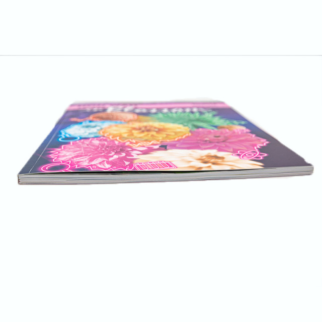 China Factory High Quality Full Color Custom Softcover Paperback Magazine/Brochure/Booklet/Catalog Saddle Stitch Printing