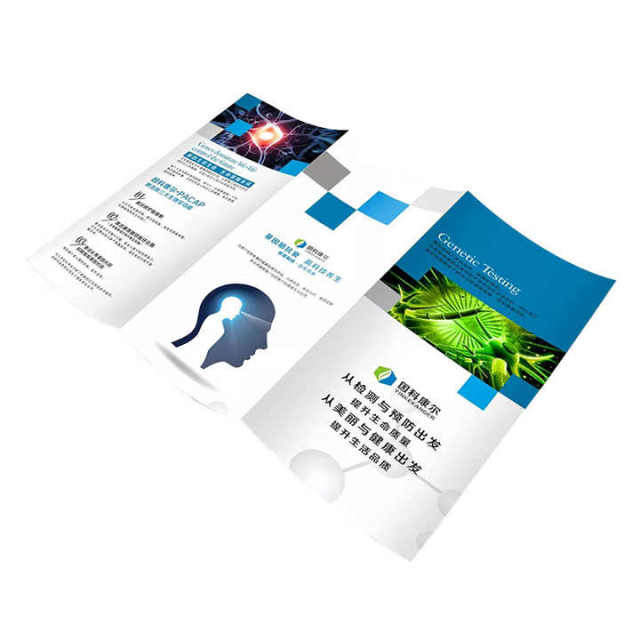 Paper Custom Logo Printed Full Color Flyers Pamphlet Brochure Leaflet Booklet Printing