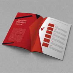 Professional Low-cost Brochure/catalog/magazine Printing, Folding and Promotional Printing
