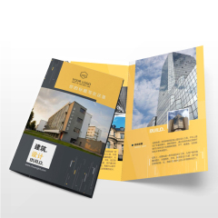 OEM Custom Catalog & Flyers Printing Service Tri-Fold Flyer Folding Leaflet Brochure & Postcard Made from Cardboard