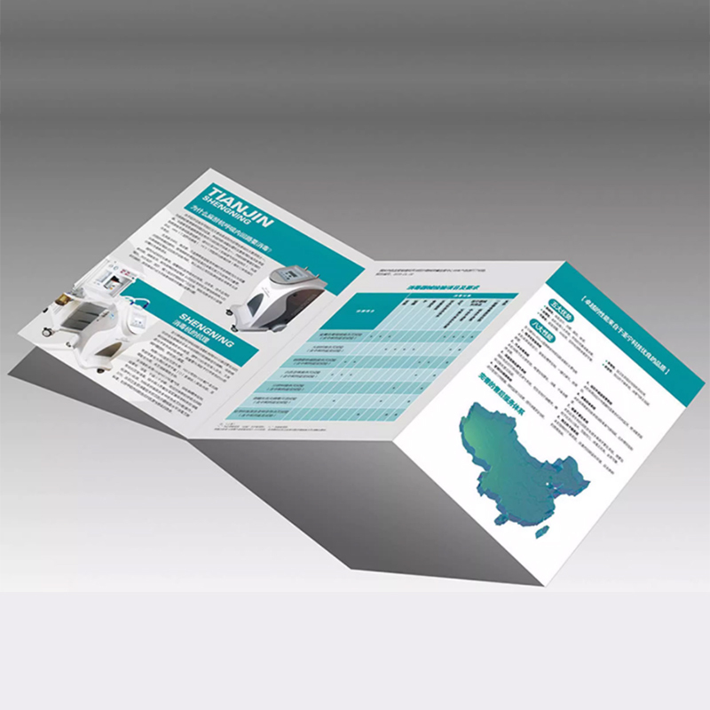 Custom 200gsm Trifold Business Flyer Leaflet Catalogue Hard Cover Colour Booklet with Fancy Paper Printing Service