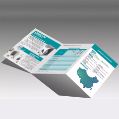 Custom 200gsm Trifold Business Flyer Leaflet Catalogue Hard Cover Colour Booklet with Fancy Paper Printing Service