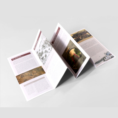 Custom Promotional Advertising Folded Leaflet Booklet Flyer Brochure Printing Service