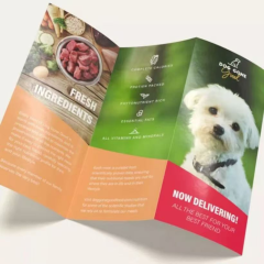 Premium Brochure Printing Flyer Custom Brochures for Business & Product Brochure Printing Services