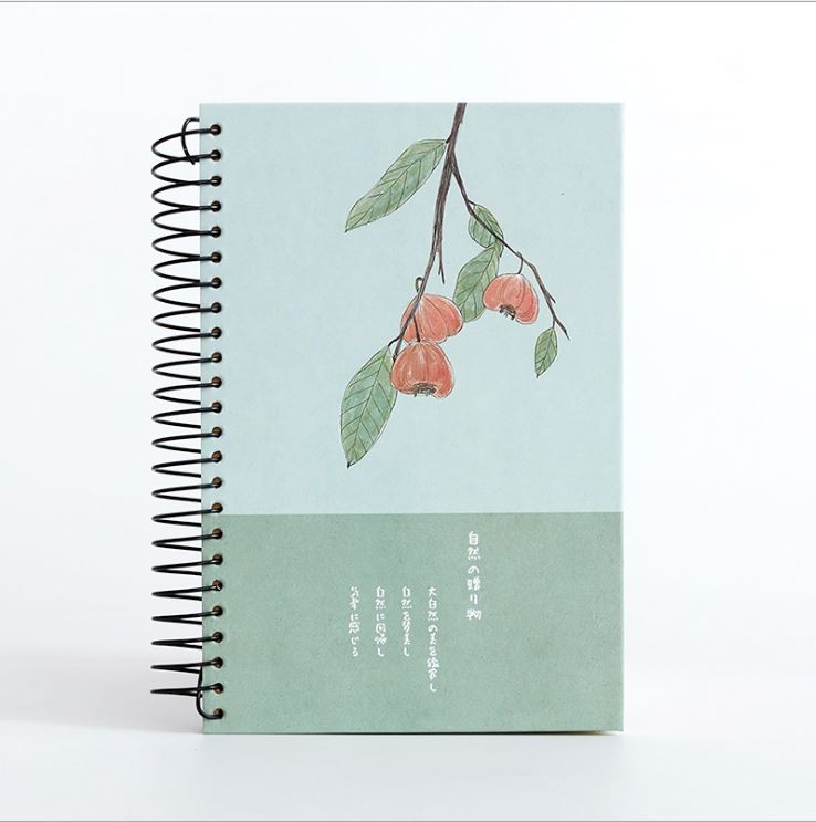 Custom Note Books Printing A4 Cahier Scolaire 200 Pages Carnet Budget Cuaderno Notas 2025 Cheap YO Spiral Binding Notebook