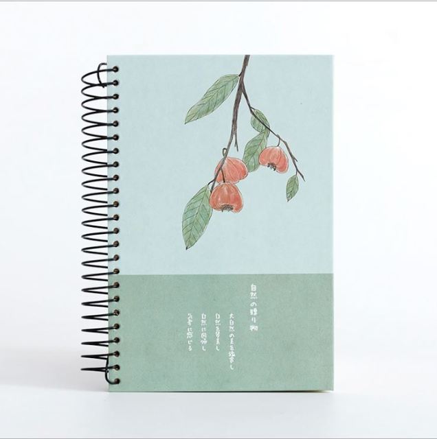 Custom Note Books Printing A4 Cahier Scolaire 200 Pages Carnet Budget Cuaderno Notas 2025 Cheap YO Spiral Binding Notebook
