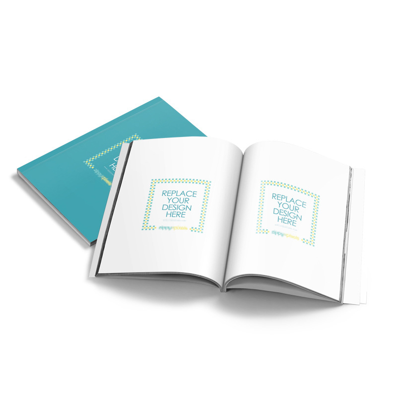 OEM Custom Catalog & Flyers Printing Service Tri-Fold Flyer Folding Leaflet Brochure & Postcard Made from Cardboard