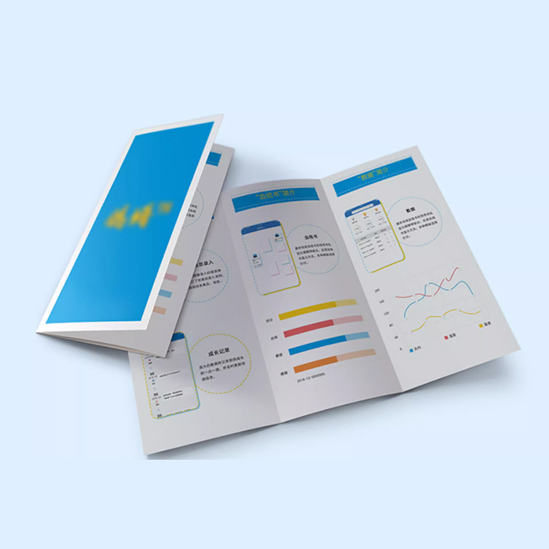 Custom 200gsm Trifold Business Flyer Leaflet Catalogue Hard Cover Colour Booklet with Fancy Paper Printing Service