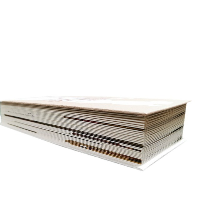 High Quality Trifold Flyer in Kraft Paper Custom Logo Digital Printing Company Firms Brochure