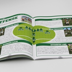 Custom Size Commercial Cardboard Flyer Menu Poster Leaflet Printing for Food Take Away Offset Printing