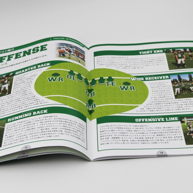 Custom Size Commercial Cardboard Flyer Menu Poster Leaflet Printing for Food Take Away Offset Printing