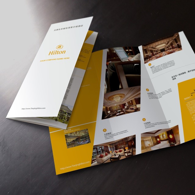 Paper Custom Logo Printed Full Color Flyers Pamphlet Brochure Leaflet Booklet Printing