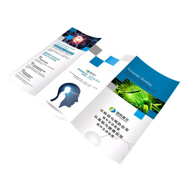 Paper Custom Logo Printed Full Color Flyers Pamphlet Brochure Leaflet Booklet Printing