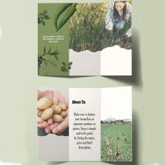 Premium Brochure Printing Flyer Custom Brochures for Business & Product Brochure Printing Services