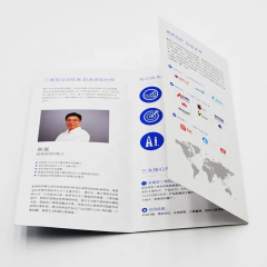 Custom Digital Printing Service Commercial Advertising Flyer Color Print Cheap Brochure for Business