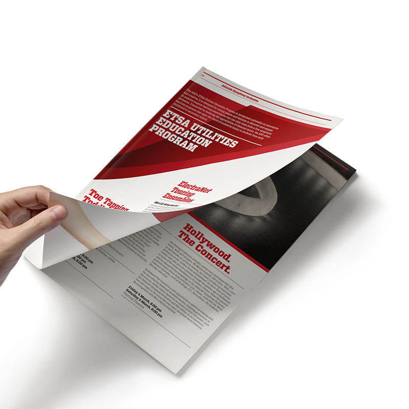 Manufacturer High Quality Custom Business Flyers Brochure Leaflet Printing