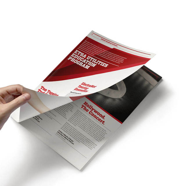Manufacturer High Quality Custom Business Flyers Brochure Leaflet Printing