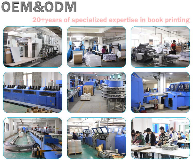 Professional Printing Spiral Notebook Wholesale A5 Notebook for School Student
