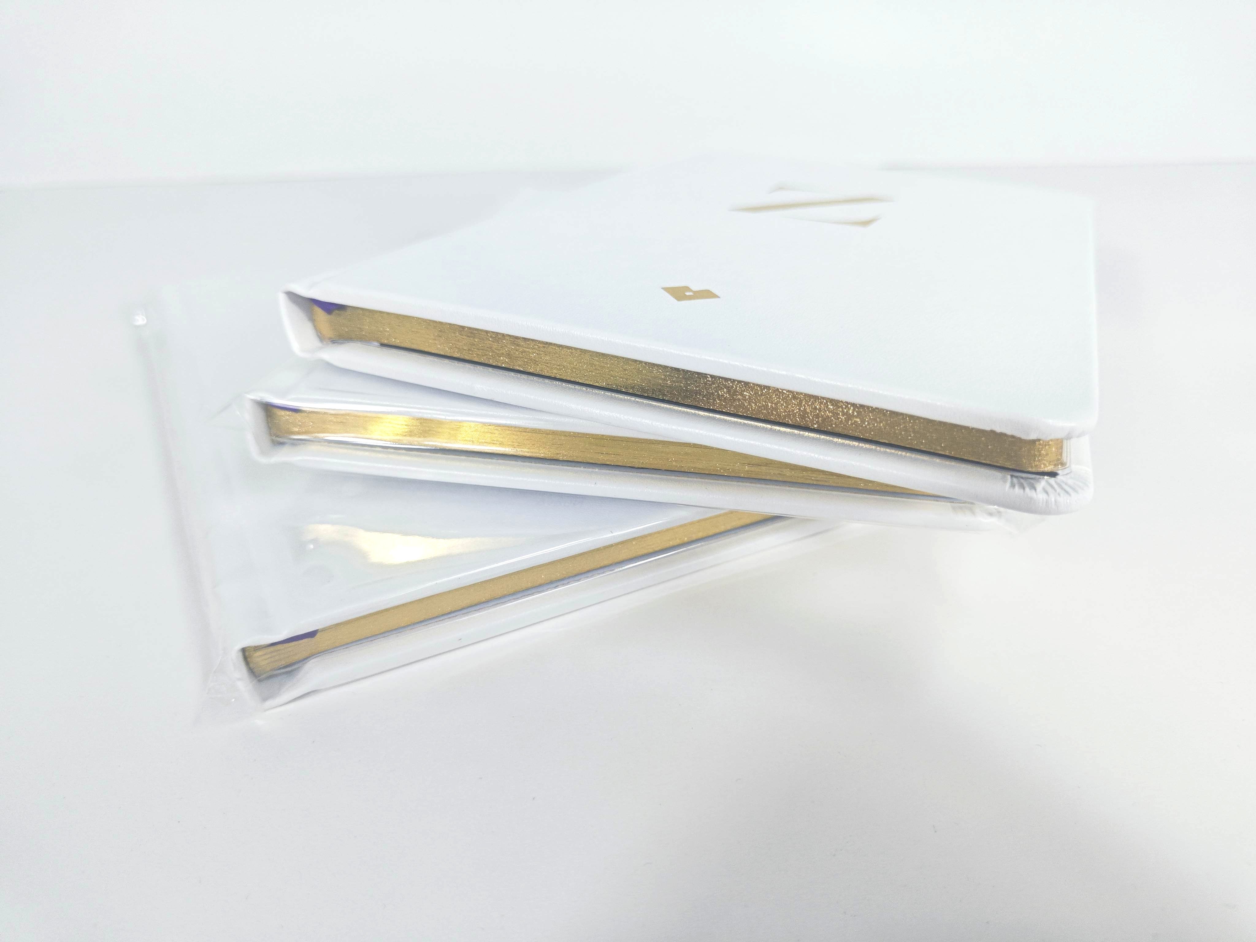 Custom Printed Spiral Wire Notebooks Bulk Cheap A5 Single Line Notebook Offset Paper and Cardboard Brochure