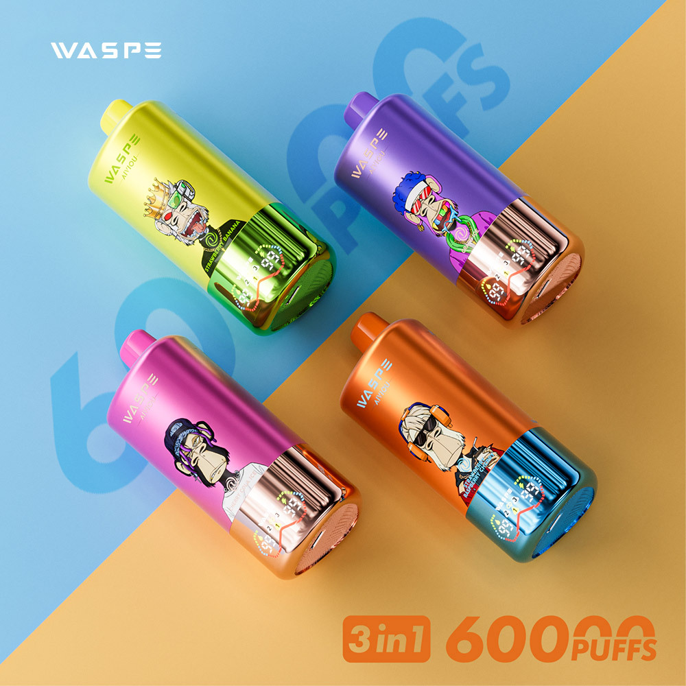 WASPE AIVIOU 3in1 60K