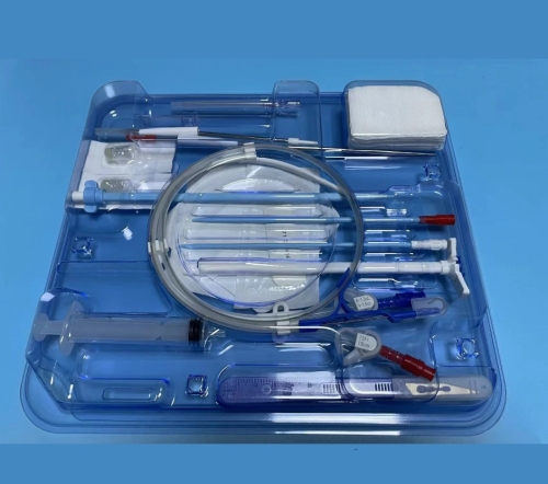 Medical disposable dialysis kit