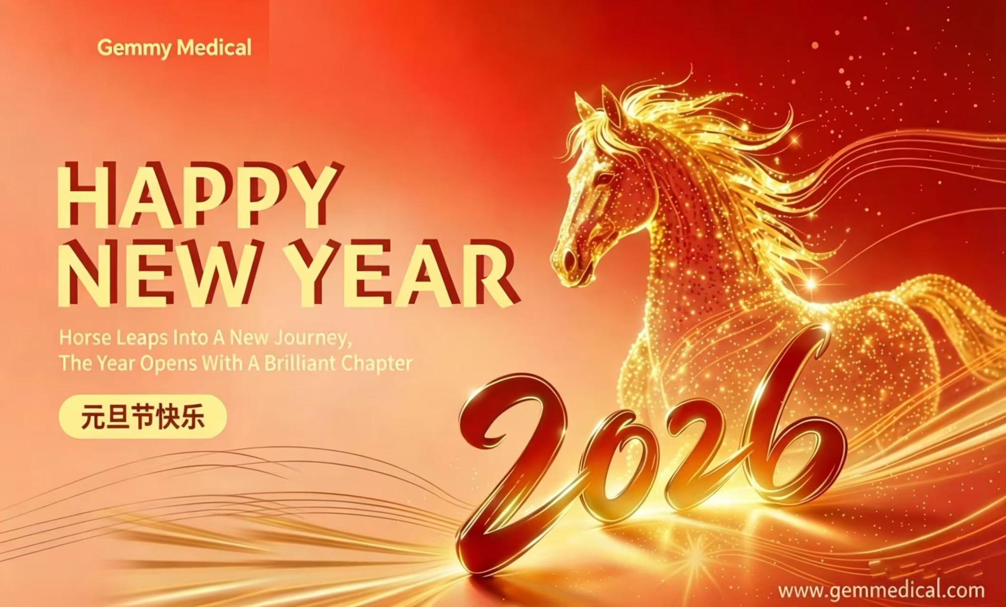 Happy New Year 2026 !