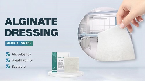 Gemmy Medical Alginate Dressings: Natural, Absorbent Wound Care for Fast Healing