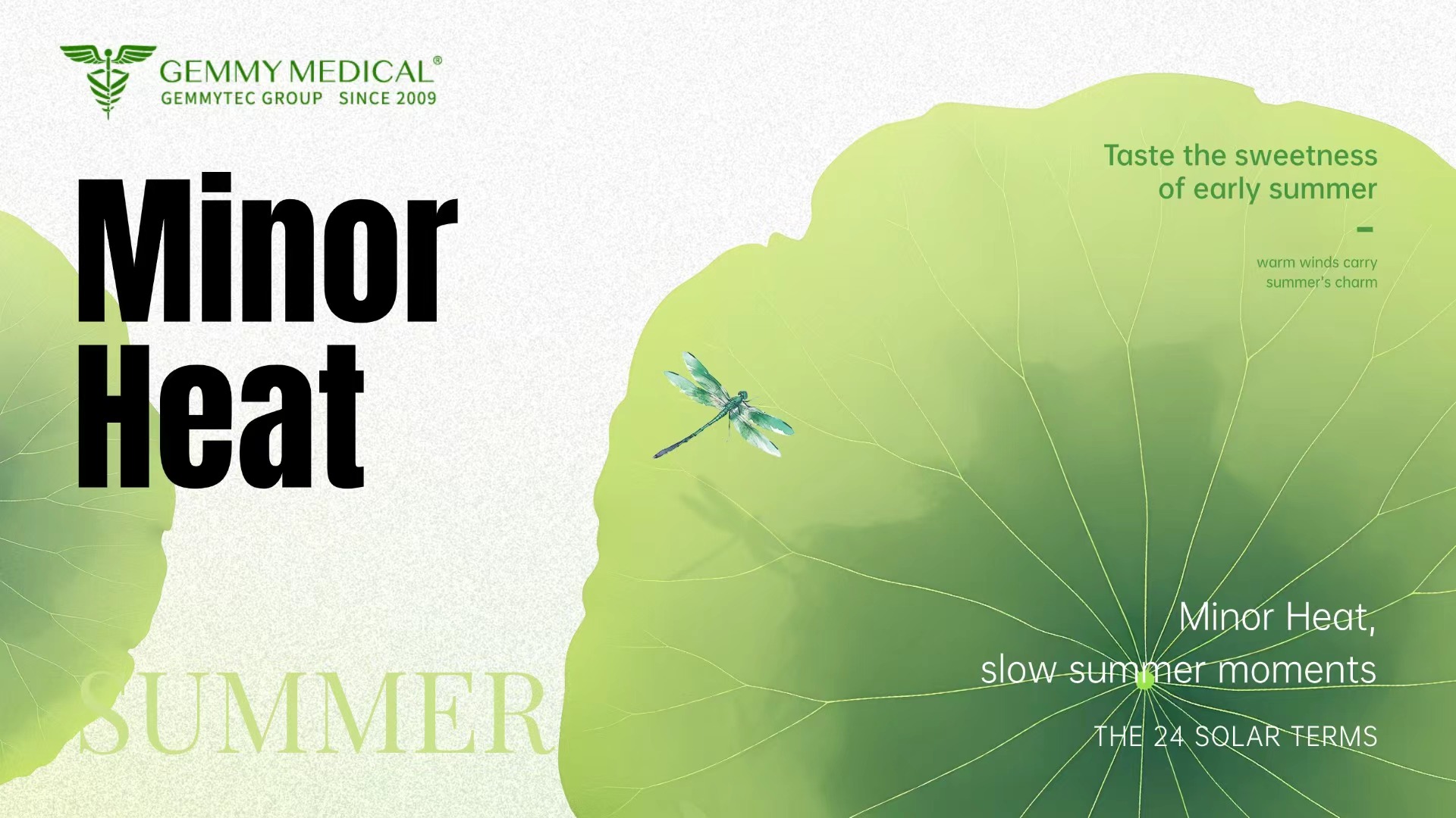 Minor Heat: Why Summer Heat Demands Extra Wound & Ostomy Skin Protection