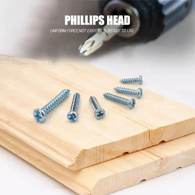 Screw assortment 95pcs multi-layer gavanizztion 304 Stainless Phillips Head Wood Screws